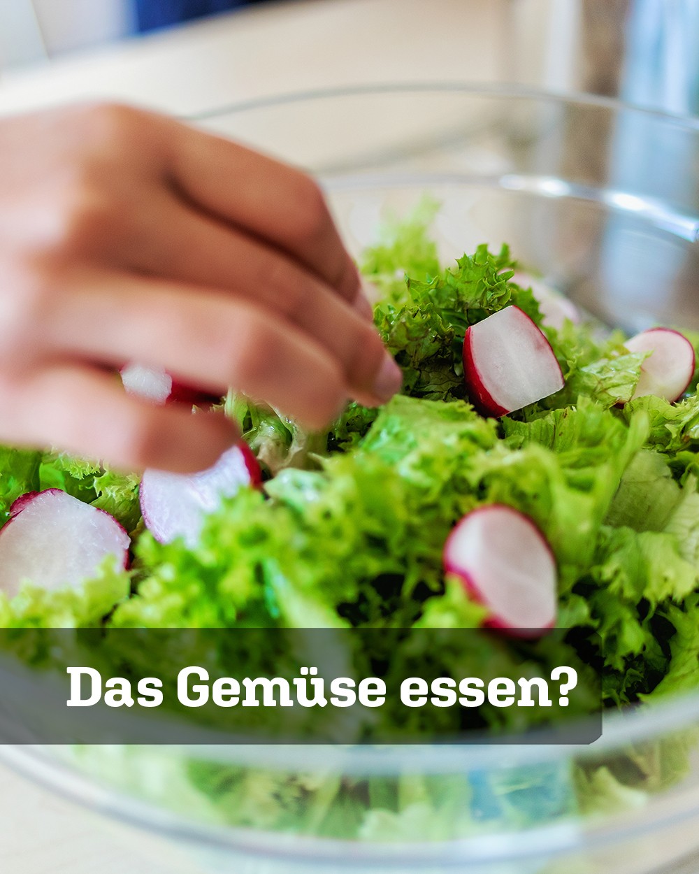 Eine Hand legt Radieschen auf grünen Blattsalat. Darunter steht im Bidl: Das Gemüse essen? (c) KibeV