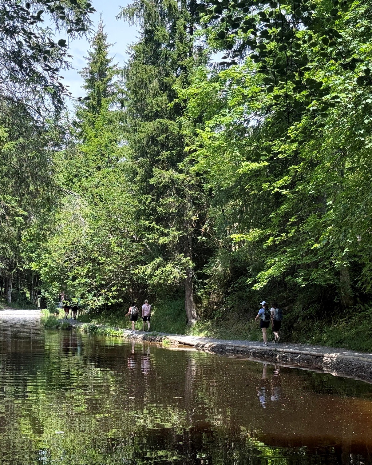 Blick über den Bödelesee und ein paar unserer Zwergengarten-Leitungen, die am See entlangwandern. (c) KibeV