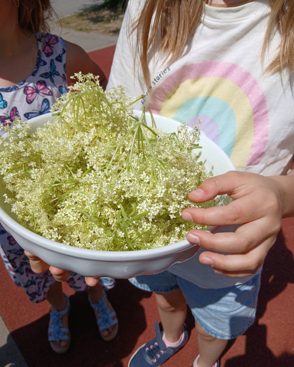 Two children holding a white bowl full of delicate white flowers outdoors on a sunny day.