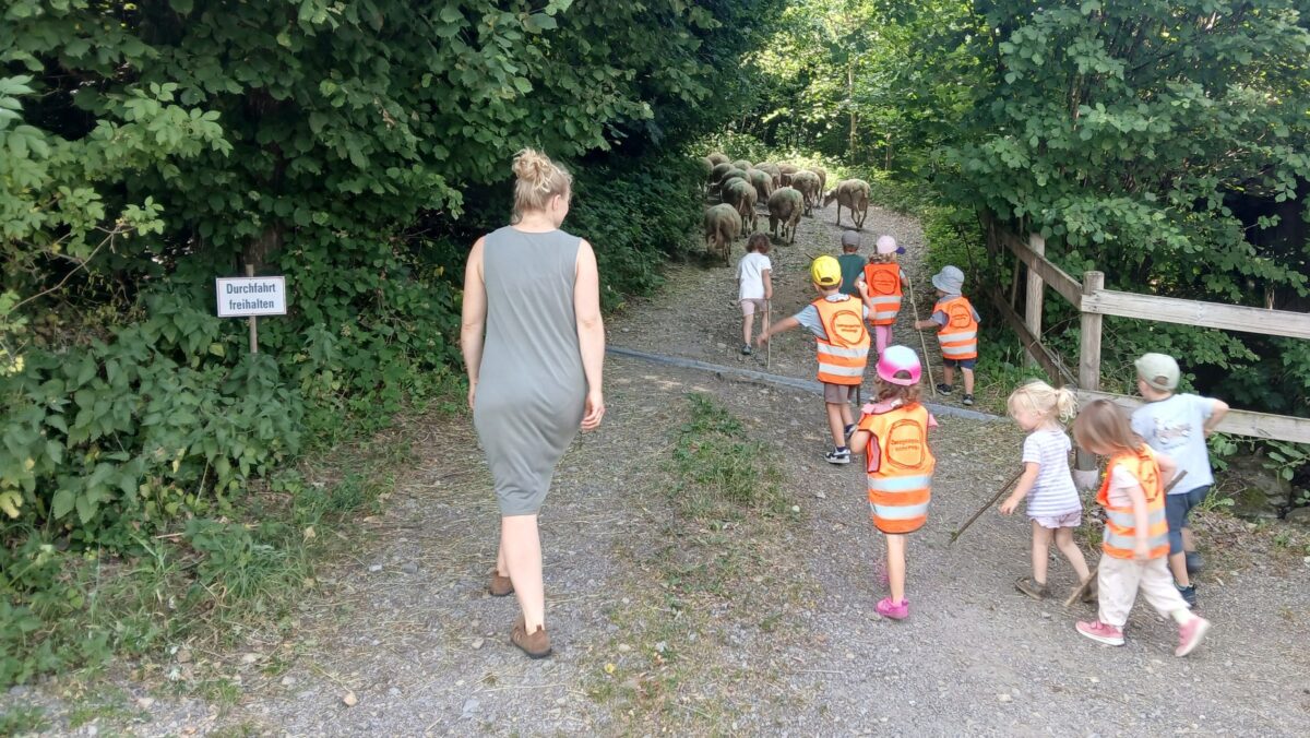 Kinder bringen gemeinsam mit einer Frau Schafe auf die Weide. Sie gehen dabei einen Schotterweg entlang, links und rechts von Wald gesäumt. (c) KibeV