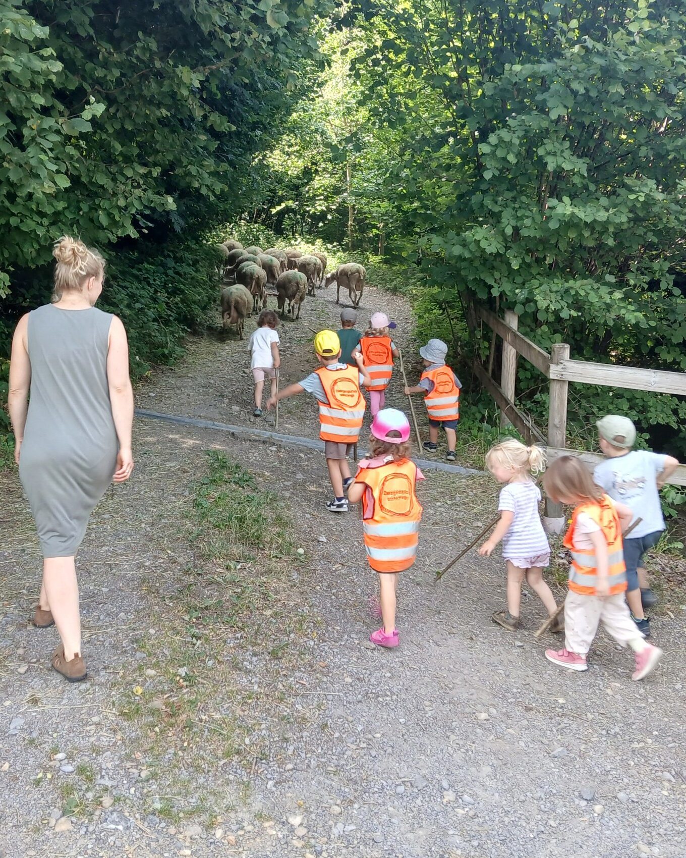 Kinder bringen gemeinsam mit einer Frau Schafe auf die Weide. Sie gehen dabei einen Schotterweg entlang, links und rechts von Wald gesäumt. (c) KibeV